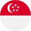 flag_sg